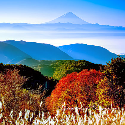 19981108-obinayama4515001