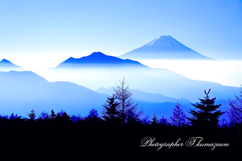 19991114-utukushinomori4550