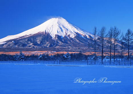 20110213-harimomi6913502