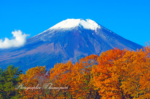 20141103-harimomi2071k3