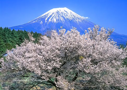 19970413-asagiri45180