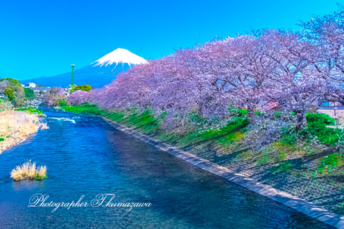 20180325-ryuganbuchi123