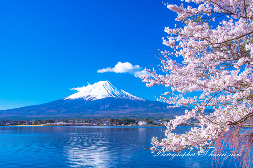 20180408-kawaguchiko040