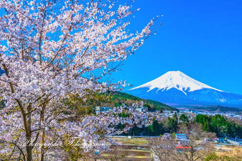 20190413-asumi0416